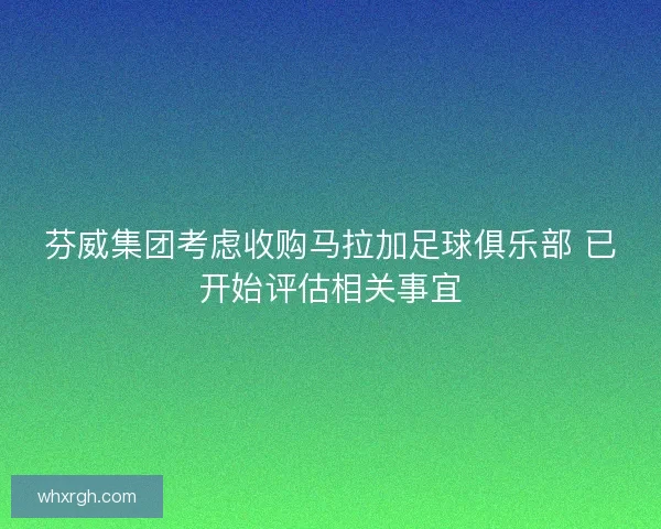 芬威集团考虑收购马拉加足球俱乐部 已开始评估相关事宜