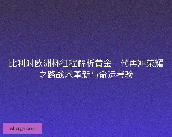 比利时欧洲杯征程解析黄金一代再冲荣耀之路战术革新与命运考验