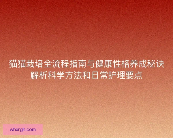 猫猫栽培全流程指南与健康性格养成秘诀解析科学方法和日常护理要点