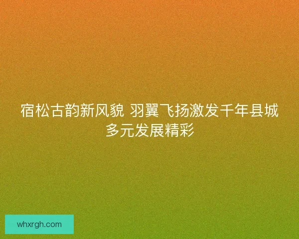宿松古韵新风貌 羽翼飞扬激发千年县城多元发展精彩