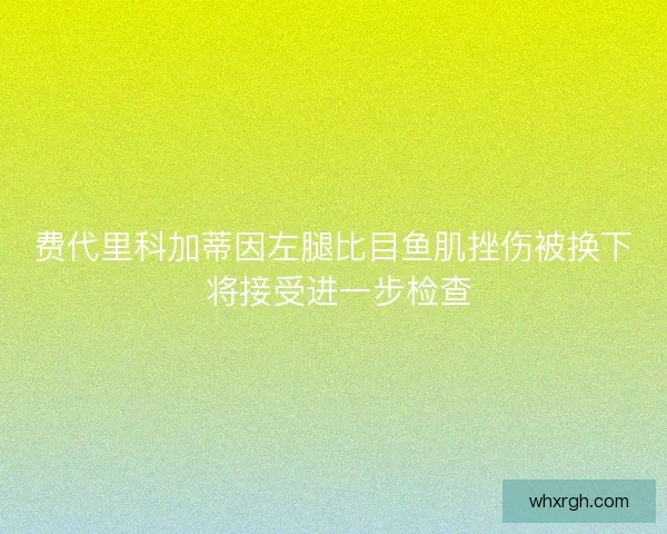 费代里科加蒂因左腿比目鱼肌挫伤被换下 将接受进一步检查 费代里科加蒂因左腿比目鱼肌挫伤被换下 将接受进一步检查