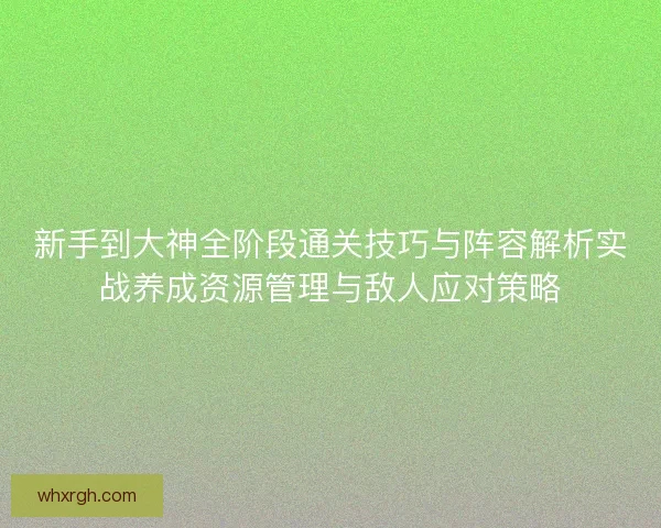 新手到大神全阶段通关技巧与阵容解析实战养成资源管理与敌人应对策略