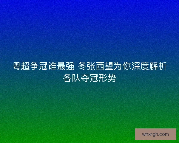 粤超争冠谁最强 冬张西望为你深度解析各队夺冠形势
